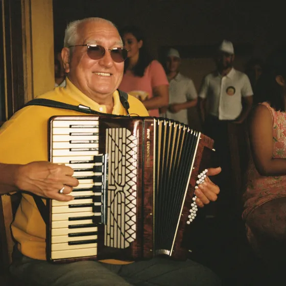 Capa da música Meu Rei da Sanfona